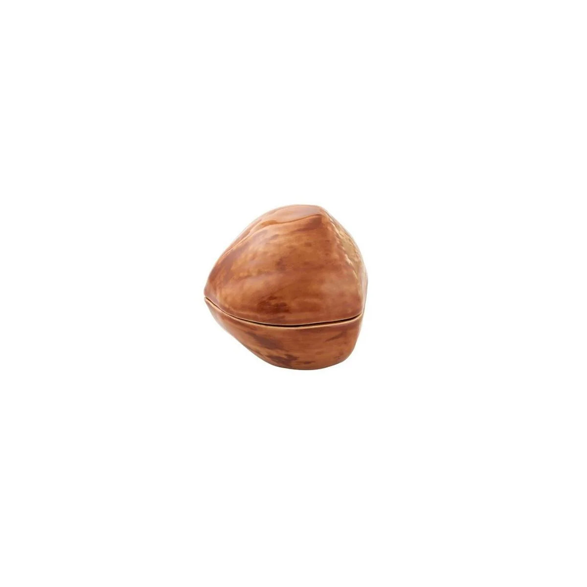 Box hazelnut nuts