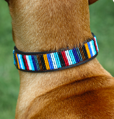 Dog Collars - large